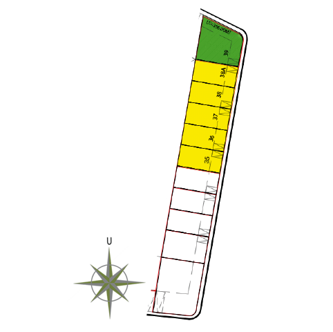 Siteplan Type Limonium